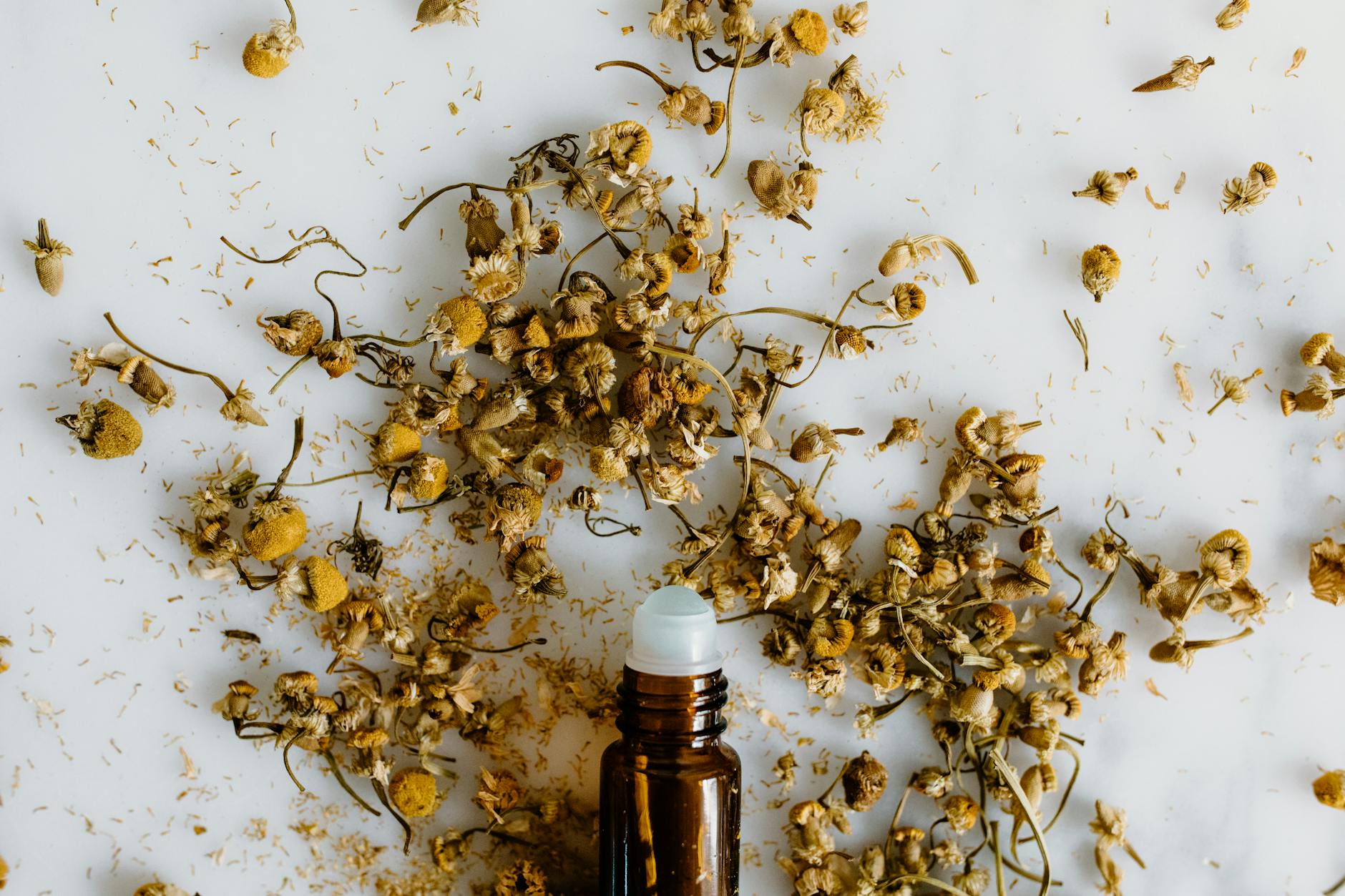 Essential Oils to Embrace the Energy of Each Season