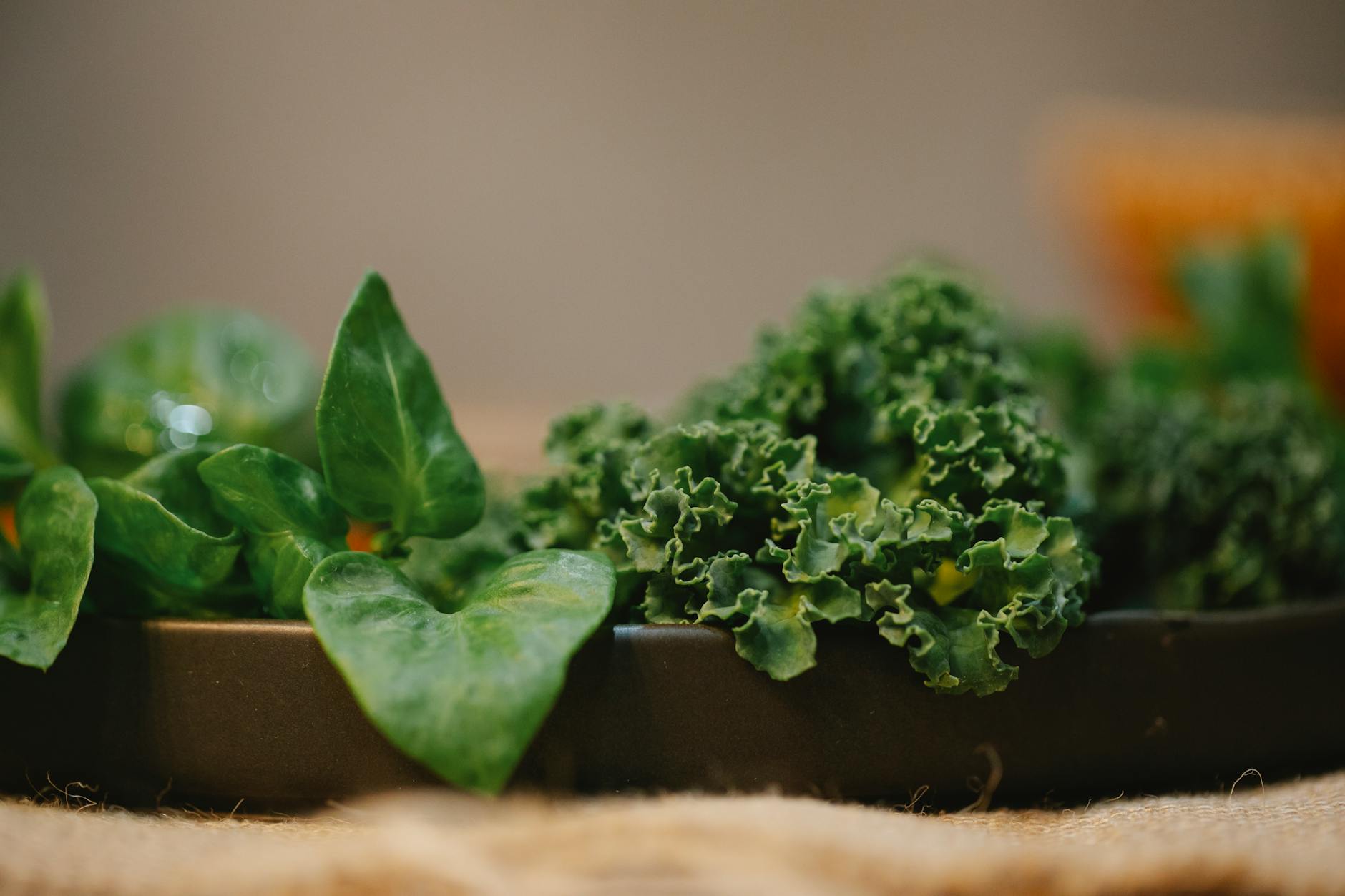 Kale vs Spinach: A Complete Guide to Health Benefits & Spiritual Nourishment