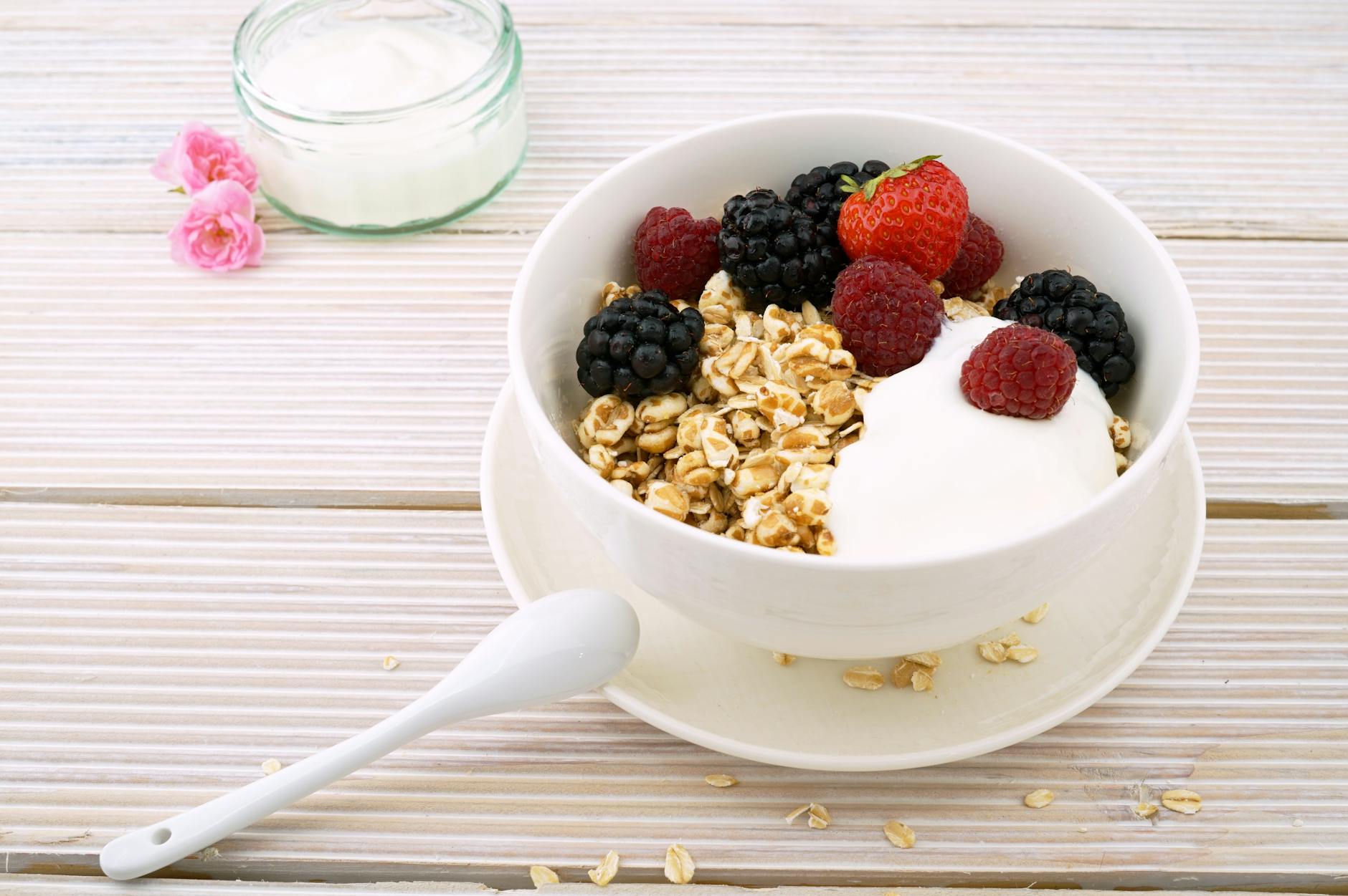 Yogurt, Forest Trails & Following the Unknown: A Season of Growth and Nourishment